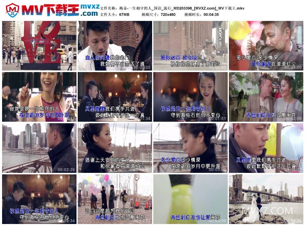 梅朵-一生相守的人_国语_流行_MD203398
